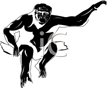 Primate Clipart