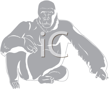 Primate Clipart