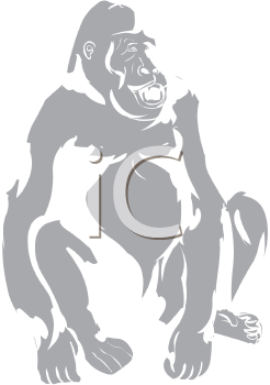 Primate Clipart