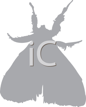 Insect Clipart