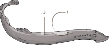Fish and Sea Life Clipart