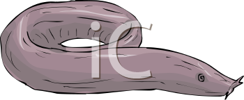 Fish and Sea Life Clipart