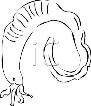 Fish and Sea Life Clipart