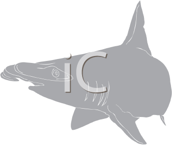 Fish and Sea Life Clipart
