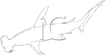 Fish and Sea Life Clipart
