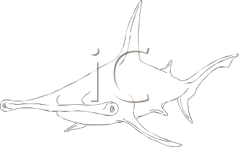 Fish and Sea Life Clipart