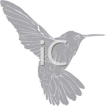 Bird Clipart