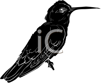 Bird Clipart