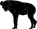 Animal Clipart