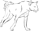 Animal Clipart