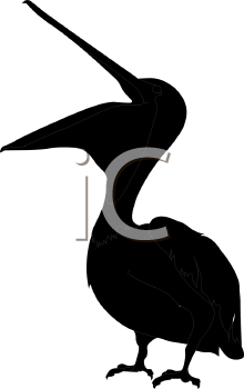 Bird Clipart