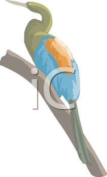 Bird Clipart