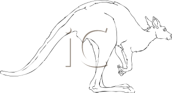 Marsupial Clipart