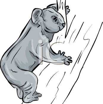 Marsupial Clipart