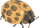Beetle Clipart