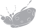 Beetle Clipart