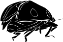 Beetle Clipart