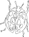 Beetle Clipart