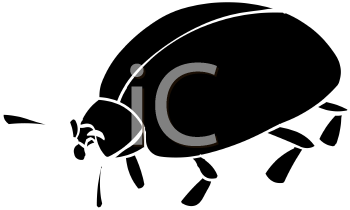 Beetle Clipart