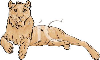 Big Cat Clipart