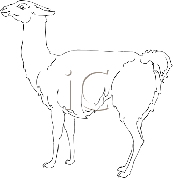 Farm Animal Clipart