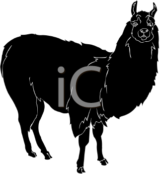 Camel Clipart