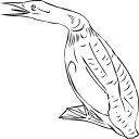 Bird Clipart