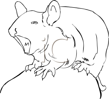 Rodent Clipart