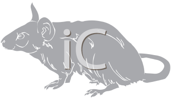 Rodent Clipart