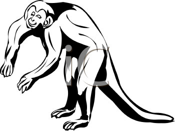 Primate Clipart