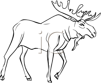 Deer Clipart