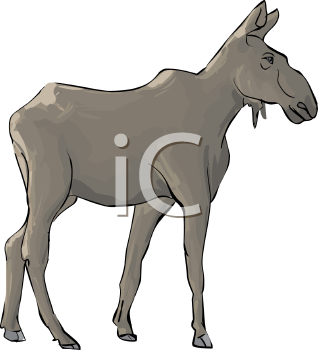 Deer Clipart