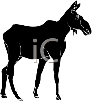 Deer Clipart