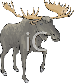 Deer Clipart