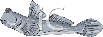 Fish and Sea Life Clipart
