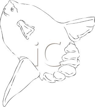 Fish and Sea Life Clipart