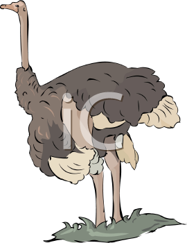 Bird Clipart
