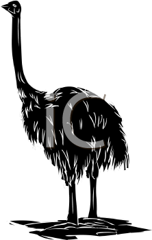 Bird Clipart