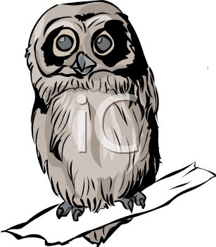Bird Clipart