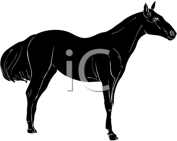 Horse Clipart