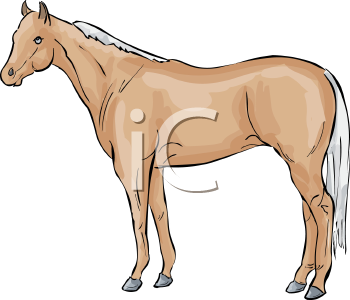 Horse Clipart