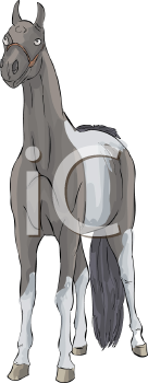 Horse Clipart