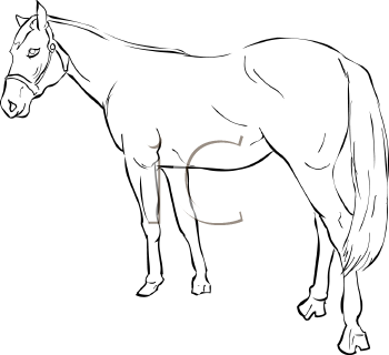 Horse Clipart