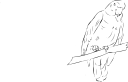 Bird Clipart