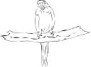 Bird Clipart