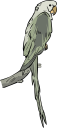 Bird Clipart