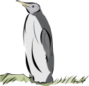 Bird Clipart