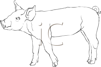 Farm Animal Clipart