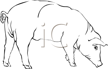 Farm Animal Clipart