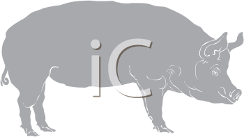 Farm Animal Clipart